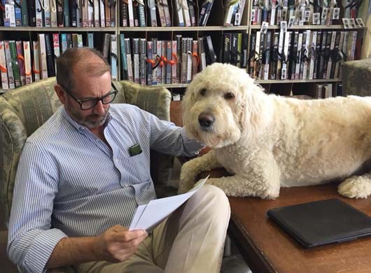 Bob Helping with  Wallpaper Selection